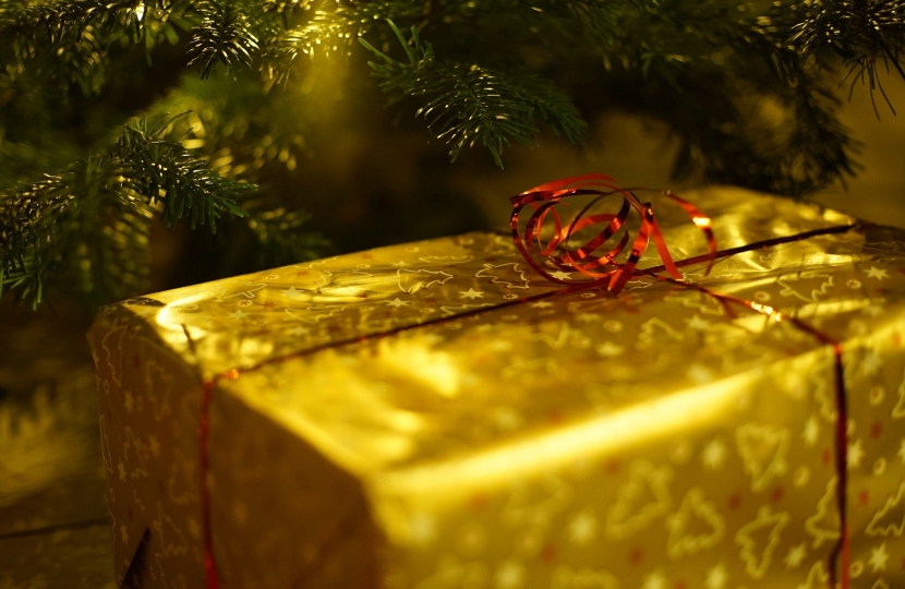 Christmas Gift Under Tree